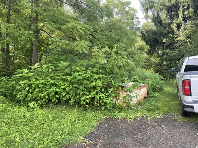 /international/us/155-collins-pl-clear-creek-wv-110079010145/