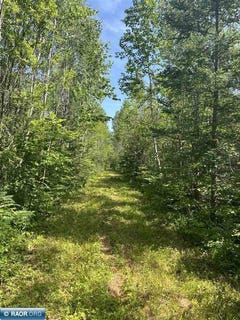 /international/us/1961-town-road-118-birchdale-mn-110096583774/?lang=zh-tw