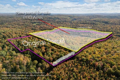 /international/us/taylor-cemetary-lot-37-1-road-wellington-me-110102738368/