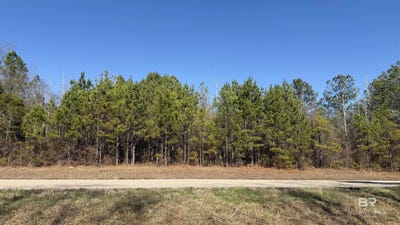 /international/us/alabama-highway-47-beatrice-al-110107202262/