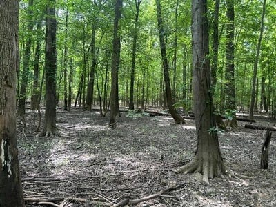 /international/us/s-side-state-road-256-scottsburg-in-110108638078/