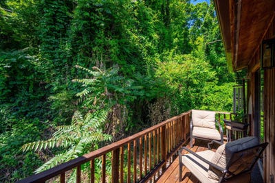 /international/us/3800-provence-street-chattanooga-tn-110108209310/