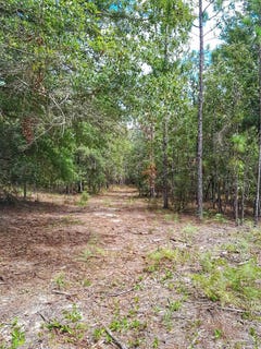 /international/us/parcel-b-2-wildlife-rd-harold-fl-110104488544/