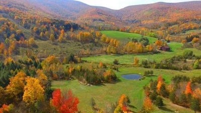 /international/us/2a-overlook-dr-lexington-ny-110096962163/?lang=zh-cn