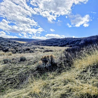 /international/us/tbd-county-road-57-hayden-co-110106919970/
