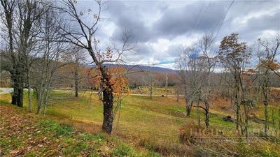 /international/us/tower-road-newland-nc-110103276457/