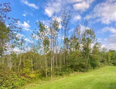 /international/us/00-trenton-road-deerfield-ny-110101395360/?lang=zh-cn