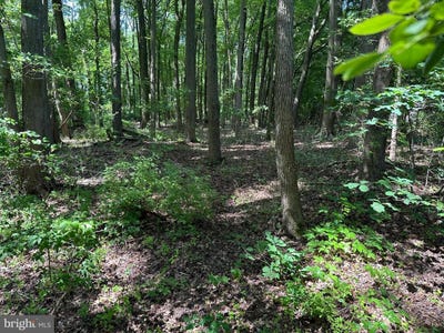 /international/us/lot-7-maple-dr-lot-7-stevensville-md-110102156387/