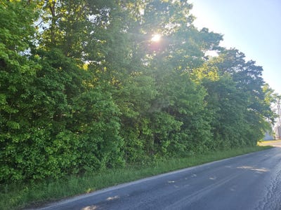 /international/us/lot-4-river-rd-greensboro-md-110108069435/