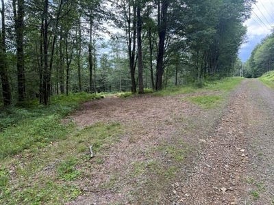 /international/us/29-melglen-lane-coudersport-pa-110119692565/