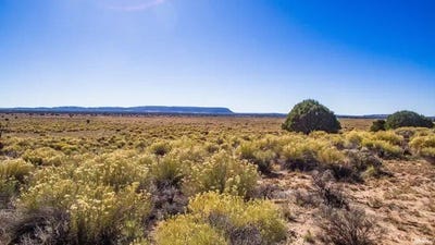 /international/us/pinehill-nm-110119778930/