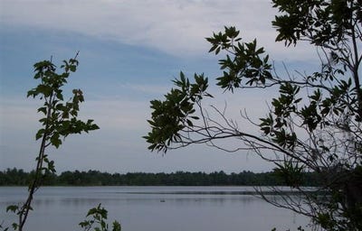 /international/us/5904-natures-way-naylor-ga-110108385789/