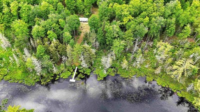 /international/us/floating-bear-trail-champion-mi-110108781297/
