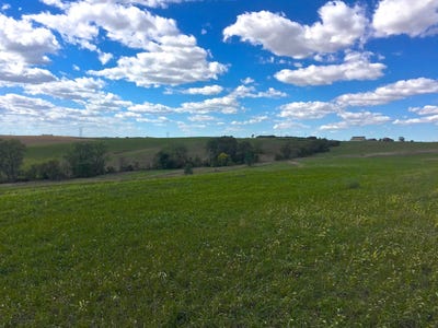 /international/us/blackhawk-ridge-lot-35-hinton-ia-110096917822/