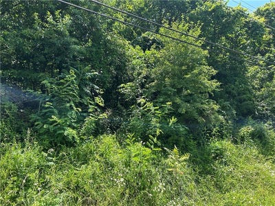 /international/us/lot-10-hickory-rd-upper-tyrone-twp-pa-110100399305/