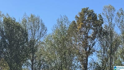 /international/us/6021-parkview-trail-lot-310-sylvan-springs-al-110072270477/