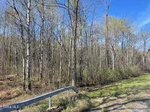 /international/us/lot-26-highway-route-20-sharon-springs-ny-110107573425/