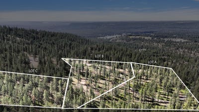 /international/us/nka-lower-weaver-way-lot-a-b-c-deer-park-wa-110100625247/