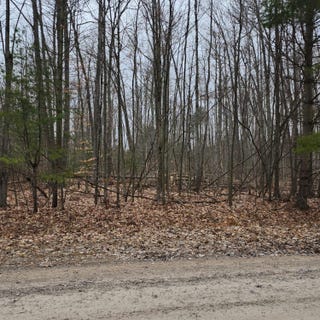 /international/us/45-scott-road-greenbush-mi-110091455221/?lang=zh-tw