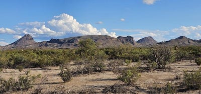 /international/us/403-este-rd-terlingua-tx-110110350755/