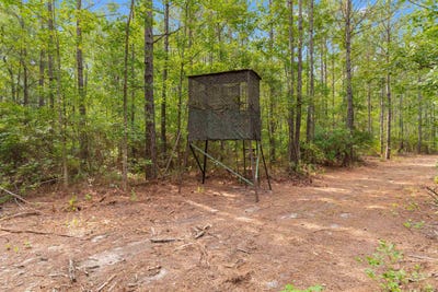 /international/us/155-81-acres-roper-woods-rd-lake-city-sc-110109655484/