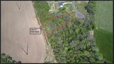 /international/us/920-8th-street-sw-pine-island-mn-110099041958/