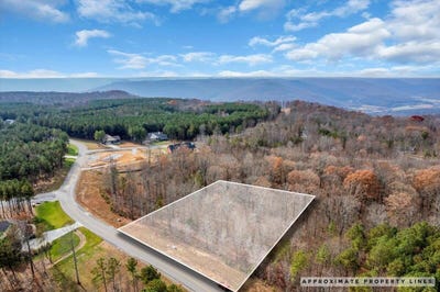 /international/us/crockett-point-jasper-tn-110104154746/