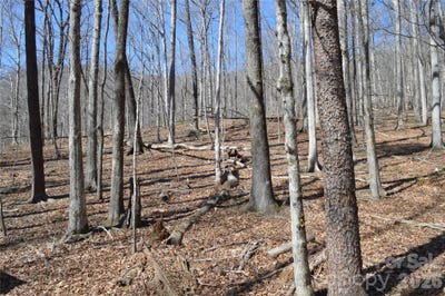 /international/us/shadow-creek-lane-columbus-nc-110106060766/
