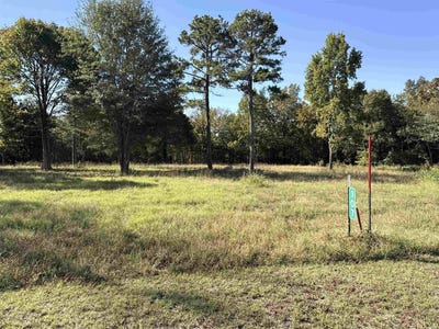 /international/us/107-eagle-ridge-dr-greers-ferry-ar-110120513603/