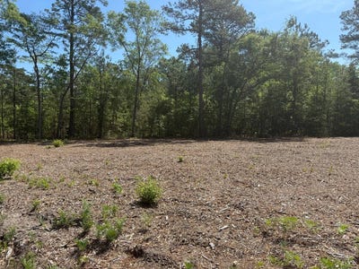 /international/us/tbd-high-hill-road-darlington-sc-110107457151/