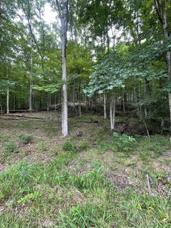 /international/us/lot-5-moore-road-lavalette-wv-110100980520/