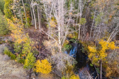 /international/us/princess-pine-place-lot-8-shingletown-ca-110105850814/