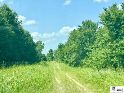 /international/us/clear-lake-road-oak-grove-la-110119413084/