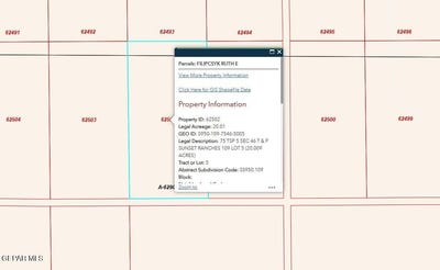 /international/us/pn-62502-sunset-ranches-109-lot-5-fort-hancock-tx-110107086571/
