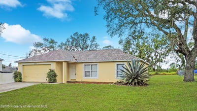 /international/us/3143-grayton-drive-spring-hill-fl-110100189454/