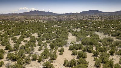 /international/us/24-camino-real-sandia-park-nm-110100704609/