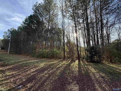 /international/us/sweetwater-lane-lot-21-rainbow-city-al-110104193228/
