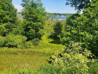 /international/us/old-channel-trail-lot-2-montague-mi-110102495521/