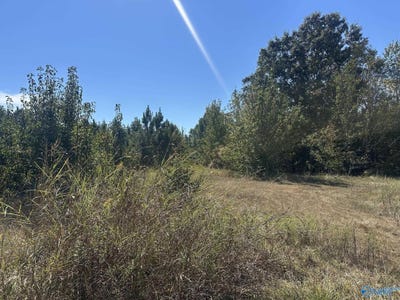 /international/us/8837-highway-72-n-madison-al-110120044093/