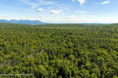 /international/us/414-buck-road-stone-ridge-ny-110109036336/