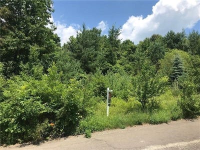 /international/us/lot-311-old-indian-trail-ct-fox-chapel-pa-110096885444/?lang=zh-cn