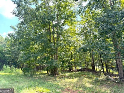 /international/us/1049-jaybird-lane-elberton-ga-110108496170/