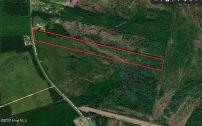 /international/us/28-6-acres-fountaintown-road-beulaville-nc-110100512692/?lang=zh-tw