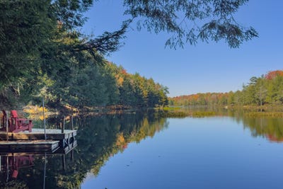 /international/us/south-road-e-forestport-ny-110102661240/