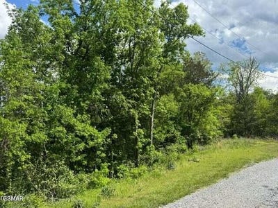 /international/us/sugar-cove-way-newport-tn-110108348085/
