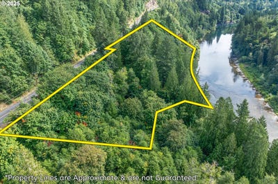 /international/us/164-sockeye-lot-b-dr-woodland-wa-110101338269/?lang=zh-tw