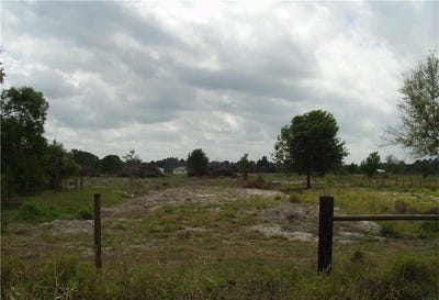 /international/us/10225-138th-avenue-fellsmere-fl-110110342373/