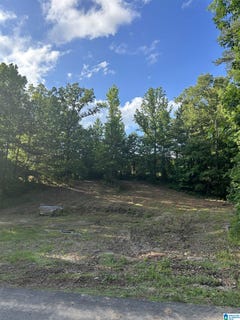 /international/us/1016-tall-oaks-circle-mccalla-al-110092642270/