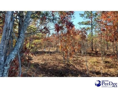 /international/us/ousleydale-road-hartsville-sc-110120086017/