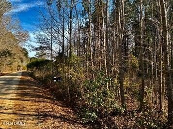 /international/us/278-sylvester-road-varnville-sc-110109759038/